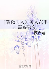 （微微一笑很倾城同人）美人在手，黑客就有