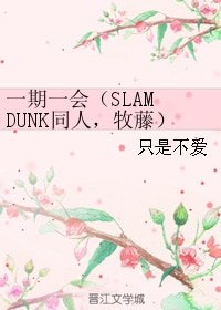 (SLAM DUNK同人)一期一會(SLAM DUNK同人,牧藤)