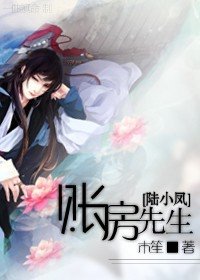 (陆小凤同人)账房先生
