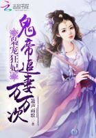 梟寵狂妃:鬼帝追妻萬萬次