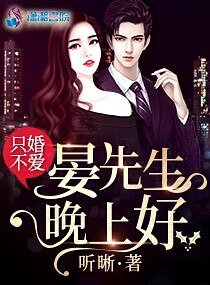 只婚不爱:晏先生,晚上好