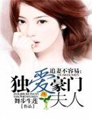 追妻不容易:獨愛豪門夫人