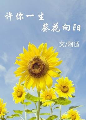 许你一生,葵花向阳