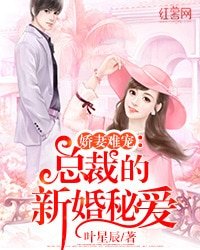 诀妻难宠:总裁的新婚秘皑