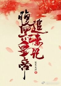 腹黑皇帝追妻记