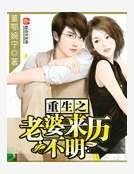 重生之老婆來歷不明