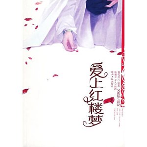 愛上紅樓夢