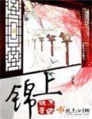 锦上