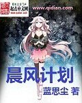晨風計劃