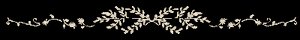 (家教同人/雲綱)分離,是為了下次的重逢+春去秋來