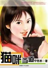 流浪猫到家猫的生涯:猫咪当道