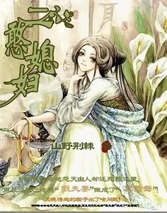 二憨媳袱