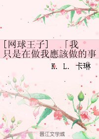 (网王同人)我只是在做我应该做的事情。