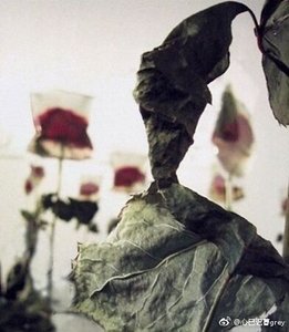 死爱第一卷