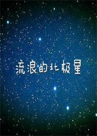 流浪的北极星