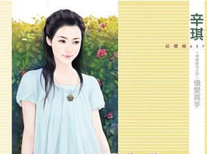 慑爱高手(情妇难为之四)