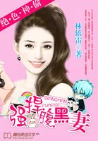 绝色神偷:强捍腹黑妻