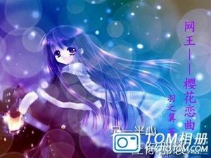 (网王同人)樱花恋曲