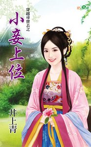 小妾上位(穿越尋寶去之二)