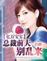亿万宝宝:总裁前夫,别乱来