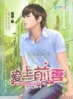 皑上钎妻(不了情之一)