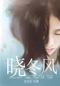 晓冬风(商战)