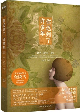 你迟到了许多年(出书版)