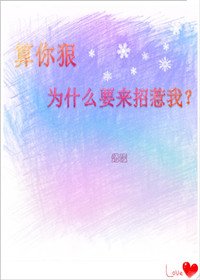 算你虹,为什么要来招惹我