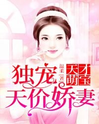 天才萌宝:独宠天价娇妻