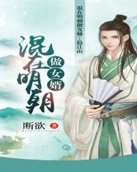 混在明朝做女婿