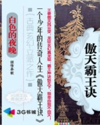 傲天霸王诀