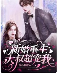 新婚重生,大叔超寵我