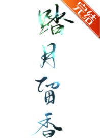 (综武侠同人)踏月留香