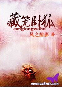 藏笼卧狐