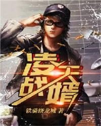 凌天戰婿