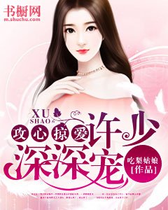攻心掠爱:许少深深宠