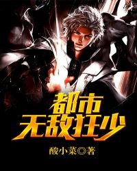 《都市无敌狂少》