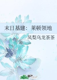 末日基建:莱顿领地