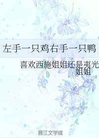 左手一只鸡右手一只鸭