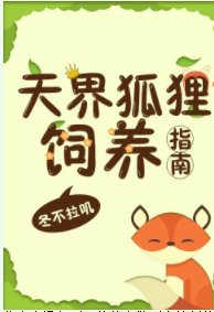 天界狐狸饲养指南