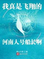 我真是飞翔的河南人号船厂扮