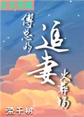 傅總的追妻火葬場