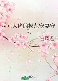 狀元大佬的模範寵妻守則