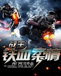 战王:铁血柔情