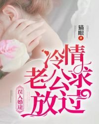 誤入婚途:冷情老公求放過