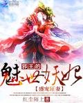 盛宠狂妻:邪王的魅世妖妃