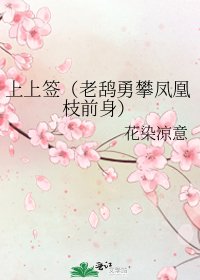 上上签(老鸹勇攀凤凰枝前身)