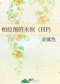 柏拉图的永恒(HP)