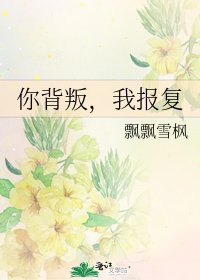 你背叛,我报复