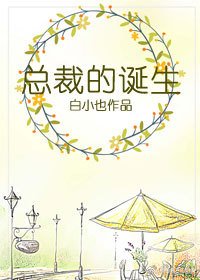 总裁的诞生